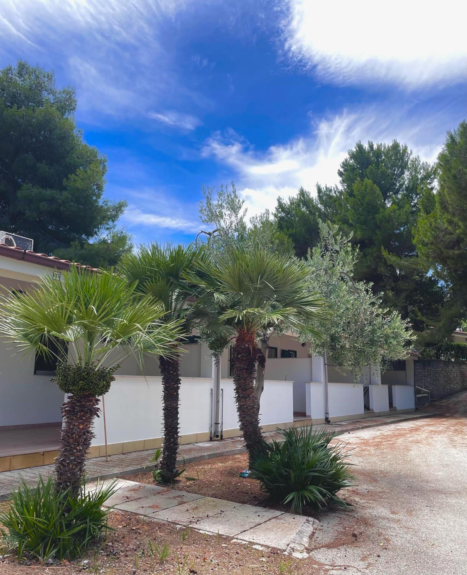 Villaggio La Giara Vieste Kültér fotó